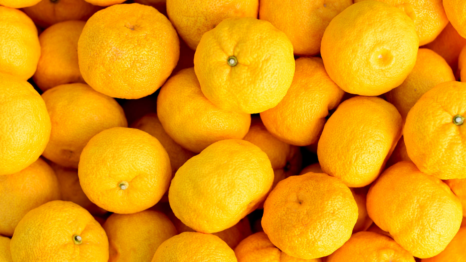 マルヨシセンター　ゆずポン酢